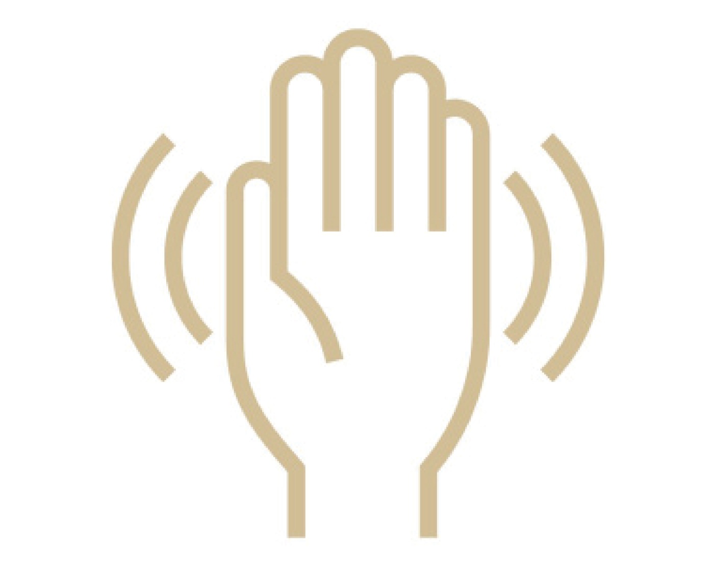 Motion Sensor